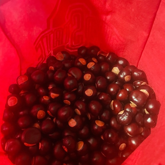Buckeyes nuts - Picture 2 of 3